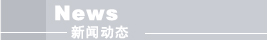 新聞動態