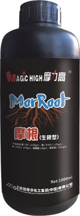 摩根生根型 摩根生根型