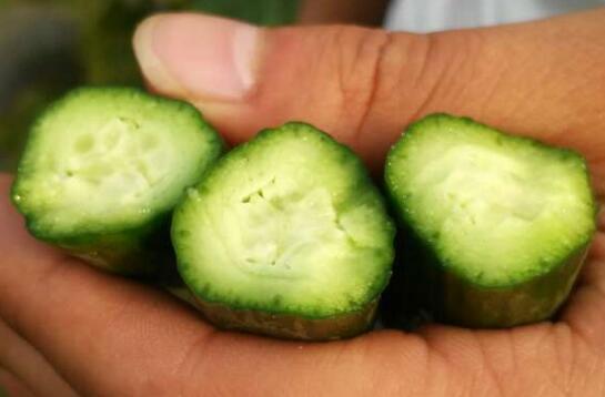 �S��ʩ����������Ч��