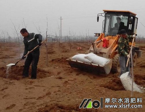 水溶肥為什么比復合肥好 水溶肥為什么比復合肥好