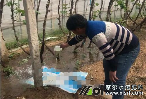 �ļ���ʲô��ˮ�ܷ�